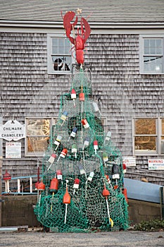 New England Christmas Tree photo