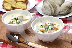 New england chowder
