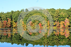 New England Fall. autumn leaves, over pond Leicester, ma