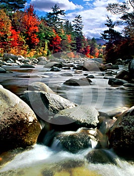 New England Fall Foliage