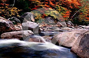 New England Fall Foliage