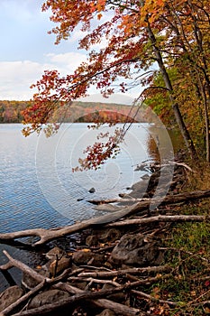 New England Fall Foliage