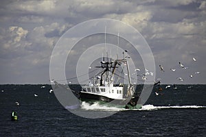 New England Fishing Trawler and Seagulls