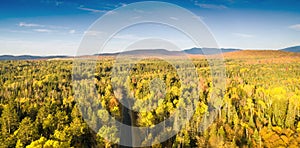 New England foliage in fall season. Aerial view