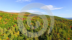 New England foliage in fall season. Aerial view