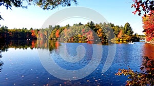 New England Pond in Fall