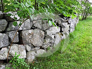 New England stone fence in Massachusetts photo
