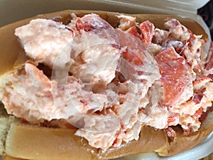 New england lobster roll , plump juicy claws and tail photo