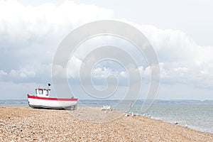 New fishing boat seen ashore