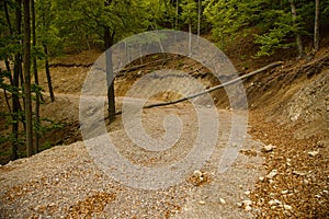 New forest gravel road in the mountains, Slovakia