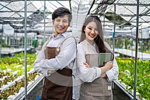 New generation of smiling two young Asian couple farmers working in vegetables hydroponic farm,Successful hydroponic vegetable