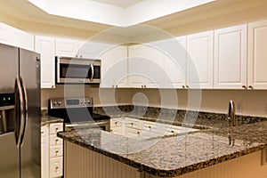 New Granite Counter and Stainless Appliances in White Kitchen