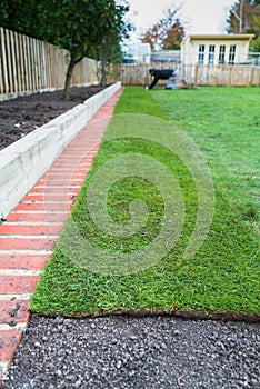 New grass turf being installed in a garden along new brick edging