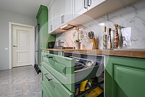 New green modern well designed kitchen interior