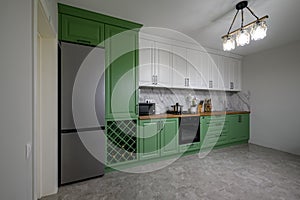 New green modern well designed kitchen interior