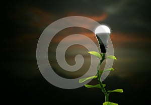 New Green renewable and Sustainable Energy Concept photo