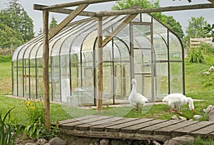 A new greenhouse on a farm.