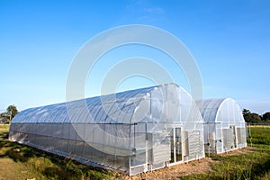 New greenhouses