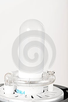 a new halogen bulb of modeling light in a studio flash. vertical photo