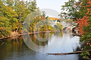 New Hampshire Foliage