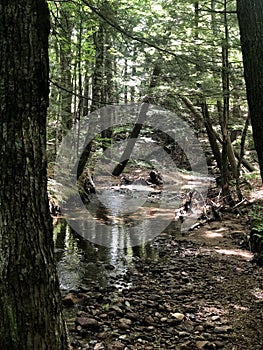 New Hampshire Summer in the River