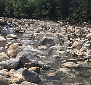 New Hampshire Summer in the River