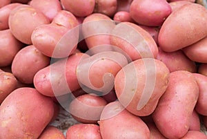 The new harvest red potatoes at local market