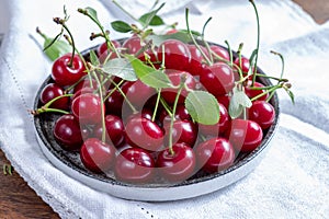 New harvest of red ripe juicy sour cherry or kriek berry
