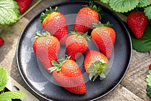 New harvest of ripe red sweet strawberry on farmer fiels and green leaves of strawberry plants close up