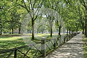 New Haven Green