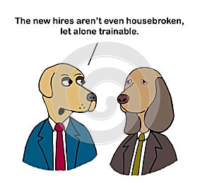 New hires are not housebroken