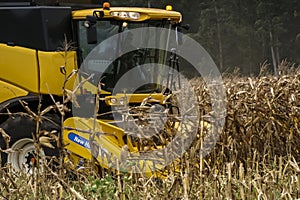 New Holland combine harvester harvests corn in the field of a farm
