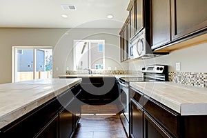 New home kitchen interior with dark brown cabinets.