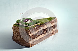 New house vision on green meadow. Conceptual image