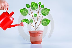 New idea creative concept. Birth, growing idea plant. Businessman growing ideas