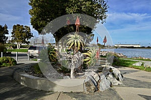 The new India Basin Shoreline Park Hunters Point San Francisco 20 photo