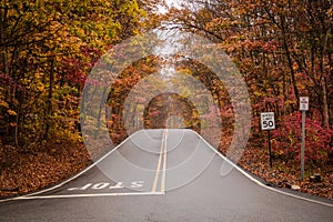 New Jersey intersection