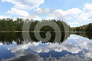 New Jersey Pine Barrens