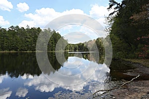 New Jersey Pine Barrens