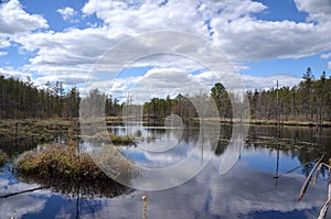 New Jersey Pine Barrens Lake