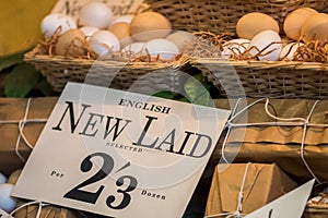 New laid english hens eggs for sale in vintage shop display