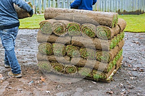 New lawn rolls of fresh grass turf ready to be used for gardening