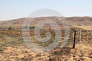 New life beginnings after a veld fire on a farm in the Vredefort Dome area  near Parys.