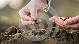 New life concept - human hand is ready to plant grain into the soil.