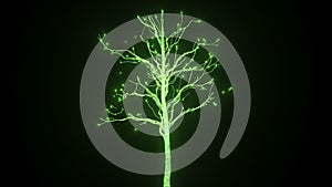 A new life in the form of a growing tree of electrical discharges. In 4K ultra HD