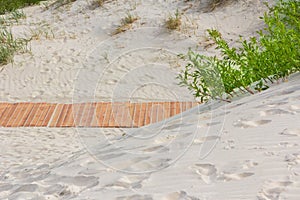 New light brown planks boardwalk in white sand dunes.