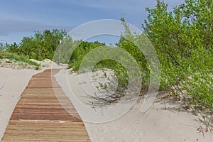 New light brown planks boardwalk in white sand dunes.