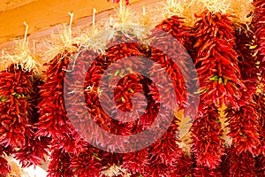 New Mexico Chilies Peppers photo