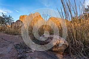 New Mexico Landscapes