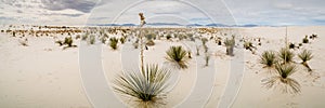 New Mexico Landscapes